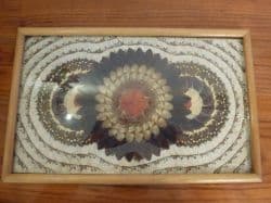 تابلو ساخته شده از پروانه های طبیعی