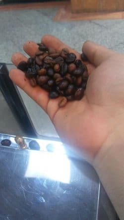 فروش عمده قهوه 