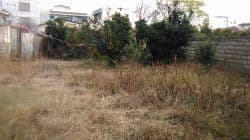 217 متر زمین خ تهران قائمشهر