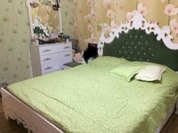 مبل ال7نفره بهمراه ميزنهارخوري6نفره و سرويس خواب