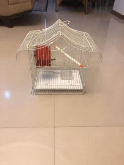 قفس پرنده كوچك