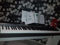 پیانو کاسیو حرفه ای تاچ مناسب