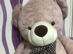 خرس 160 سانتي