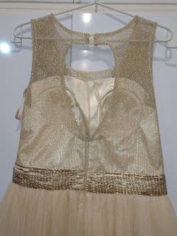 لباس مجلسی نباتی