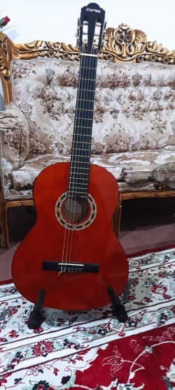 گیتار پیکاپ دار  کلارس درحد نو