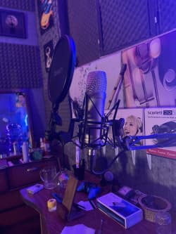 میکروفون tannoy tm1