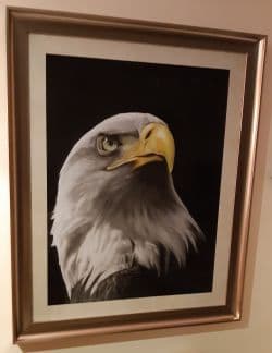 تابلو نقاشی عقاب، مداد رنگی و سیاه قلم